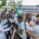 Finally: Malava-Samitsi-Navakholo road bitumen works starts