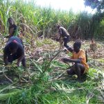 Maternal deaths: Governors tell government to rethink decision on deliveries