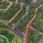 First Lady hosts Kilifi pupils at Sugoi farm on special education tour