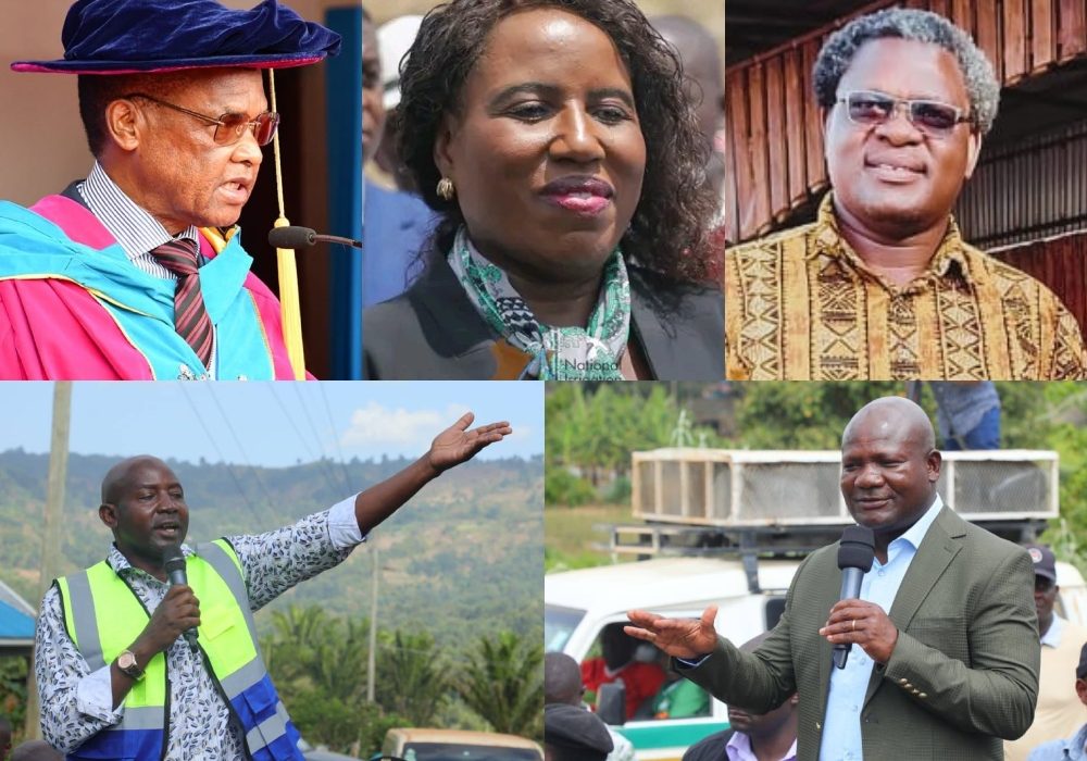 Dr Amukowa Anangwe, Dr Beatrice Inyanngala, Dr Sylvester Anami, Ayub Savula and Fernandes Barasa.