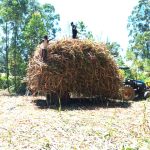 Kakamega gold: Joho tells MCAs locals wont be exploited, will only benefit