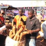 Major breakthrough as NBA partners MMUST to advance biosafety education